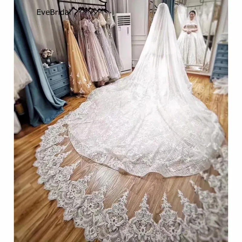 

3 Meters White and Ivory Lace Cathedral Length Applique Edge Wedding Bridal Veil with Comb