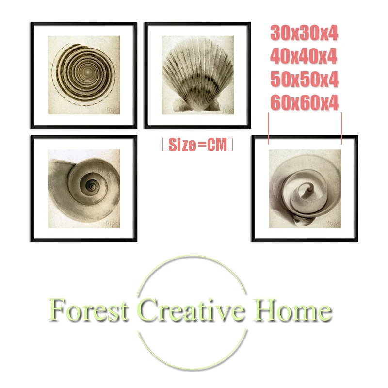 Modern Conch Shell Beach Still Life Picture Canvas Painting Art Wall Design Home Decor Prints | Дом и сад
