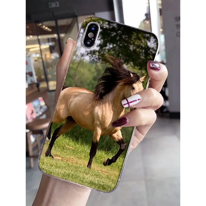 A13 Babaite Frederik The Great beauty horse DIY роскошный высококачественный протектор чехол для iPhone 6 S 6 plus 7 7 plus 8 8 Plus X Xs MAX 5 5S XR - Цвет: A13