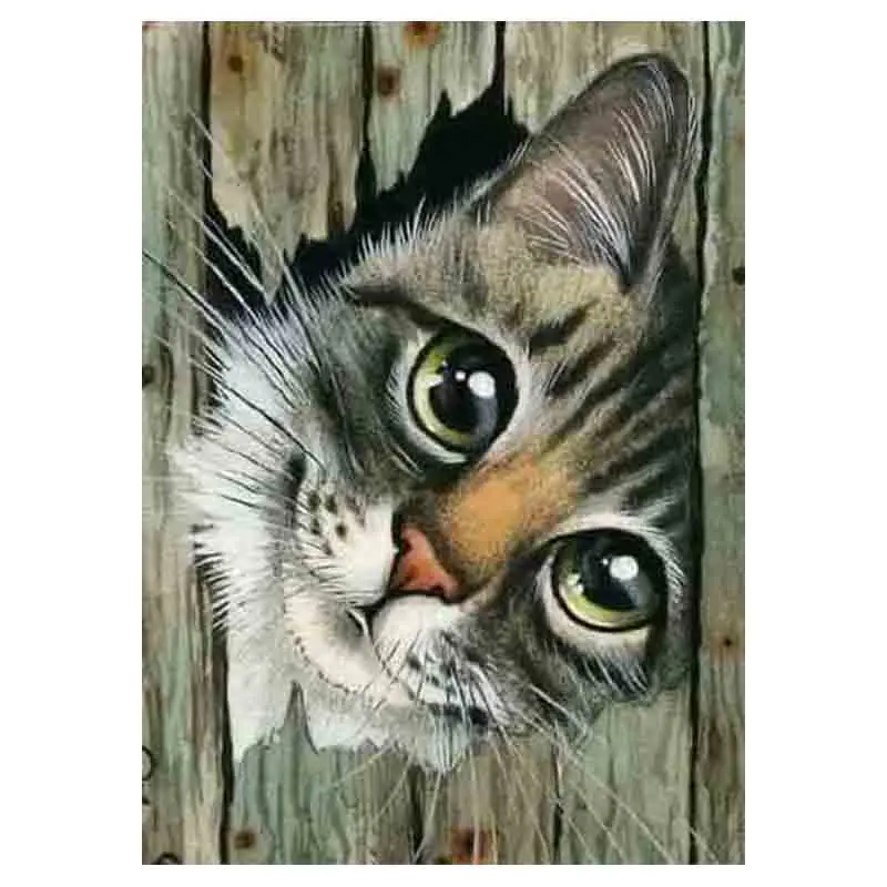 kexinzu Full Square Round Drill 5D DIY Diamond Painting &quotAnimal Cat&quot 3D Embroidery Cross Stitch Mosaic Home Decor Gift | Дом и сад