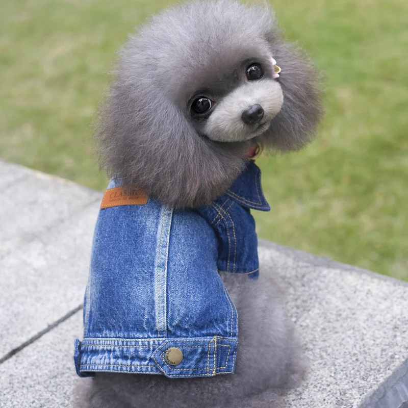 Одежда для кошек и собак Джинсовая куртка Модный жилет щенков Ковбойская одежда