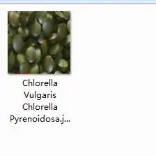 1000 Chlorella Vulg 1000 шт. набор Chlorella Vulgaris Chlorella Pyrenoidosa - Цвет: 1000 Chlorella Vulg
