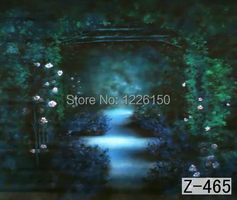 Free10 * 10 футов ручной росписью Живописный фон, студия реквизит фотографии z-465, фотостудия, муслиновый фон для фотосъемки