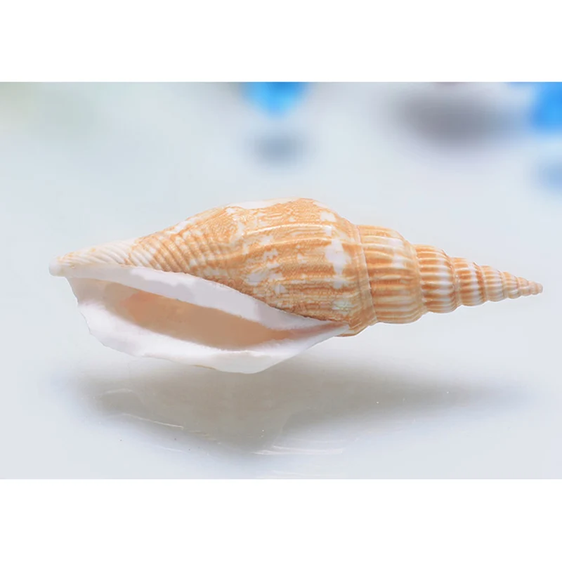 Горячая 100 г морские пляжные раковины смешанный аквариум декорация ландшафт для