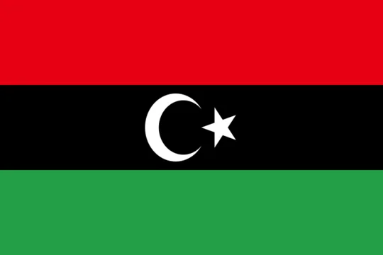 

Libya Flags Wholesale Lot of 10 PCS National Polyester Banner150* 90cm 3ft x 5ft All over the world outdoor