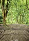 Фон для фотосъемки с весенним лесом деревянный пол лесной праздник виниловая ткань для фотостудии Фотофон