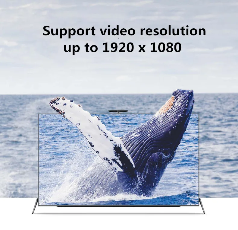 Display port to HDMI Adapter Veggieg DP 1080p display конвертер для ПК проектор ноутбука DP-HDMI адаптер |