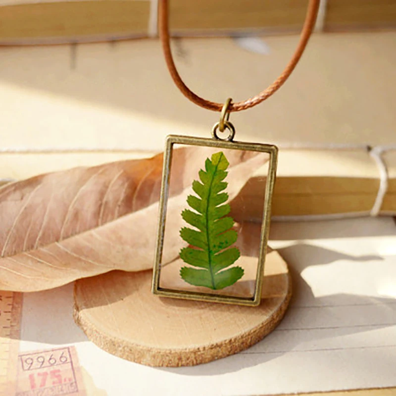 Ручной работы Pteridophyte с лечебным действием образцы Кристалл Террариум