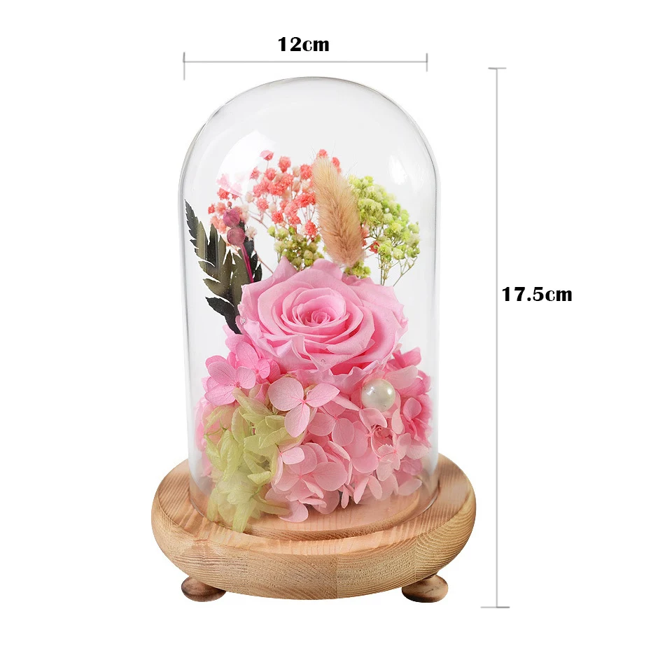 

Valentine's Day Glass Cover Fresh Preserved Rose Flower Beautiful Mother birthday gift Wedding Home Decoration