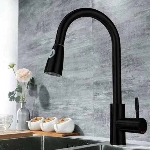 

Germany export all copper pull-out kitchen faucet hot and cold washing vegetable basin wiredrawing black lead