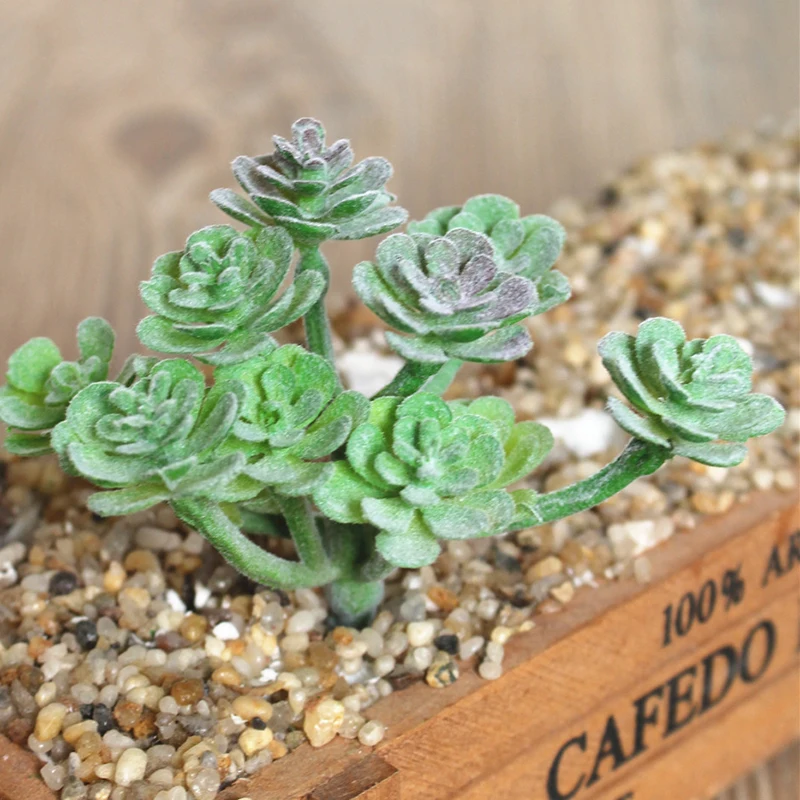 Искусственное суккулентное растение искусственный цветок пластмассовое