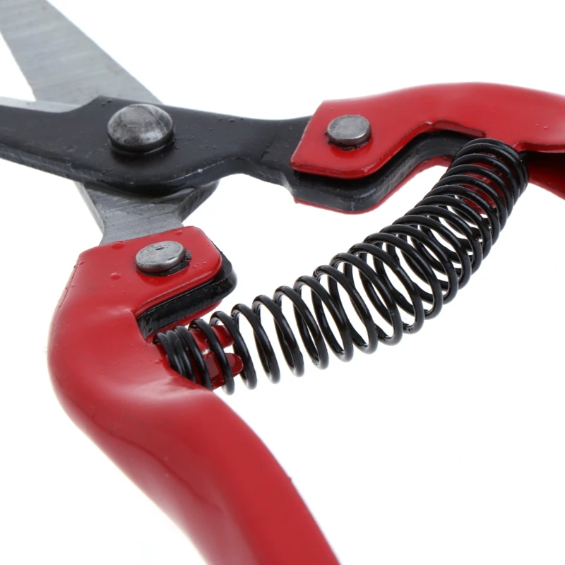 

Garden Plant Pruning Shears Cutter Gardening Tools Bonsai Grass Flower Scissors Secator Grafting Pruning Pruning New Hand Tool