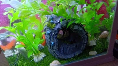 Аквариумное ландшафтное украшение dodge пещера аквариум дисплей искусственное