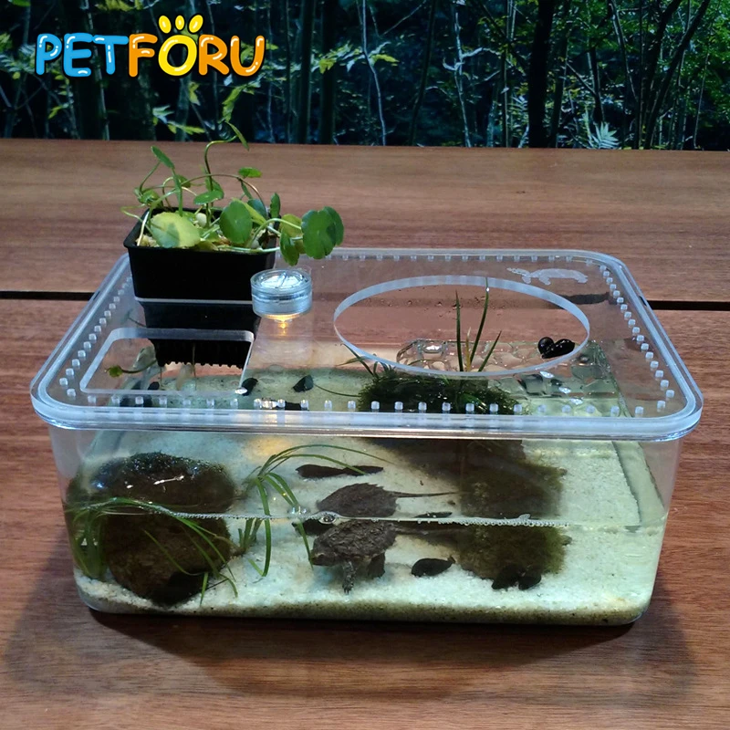 PETFORU Горячий прозрачный аквариум насекомое для разведения рептилий короб