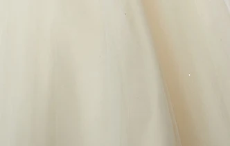Шампанское Элегантные Платья vestidos quinceanera с милым декольте, из тюля с курткой vestidos de 15 anos пышные платья - Цвет: Шампанское