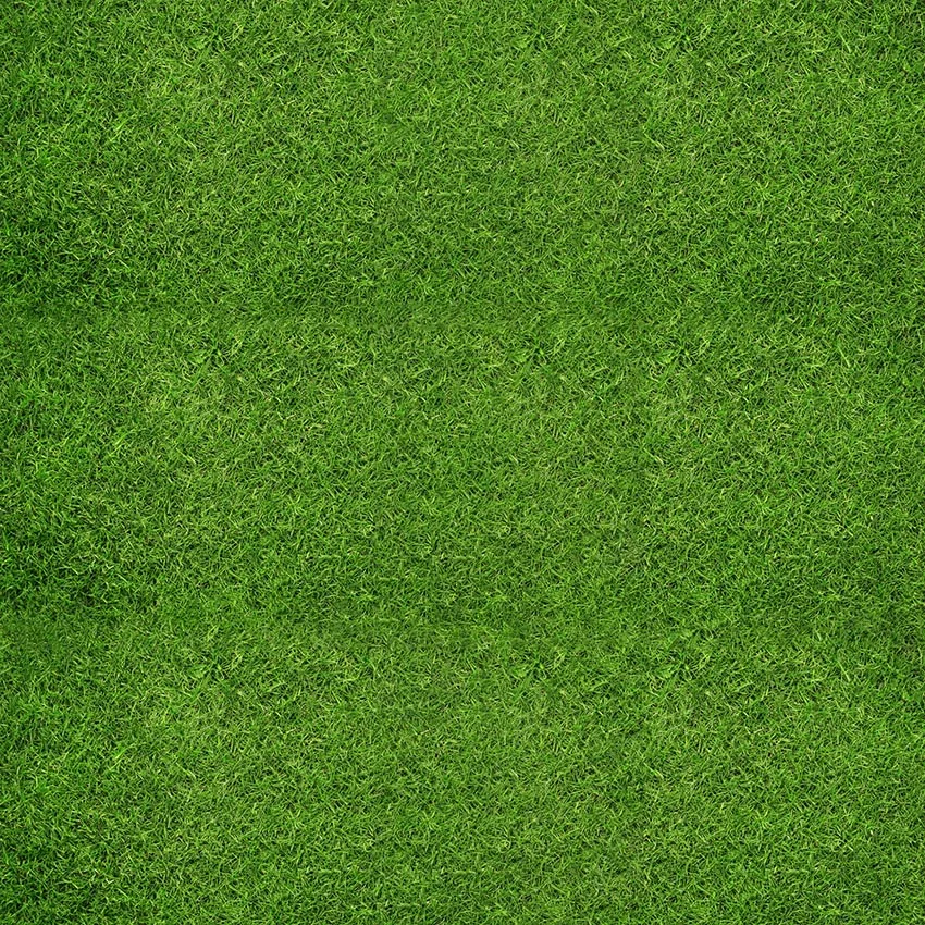 MEHOFOTO Green Grass Screen Stage Wedding Portrait Photography Backgrounds Customized Photographic Backdrops for Photo Studio |