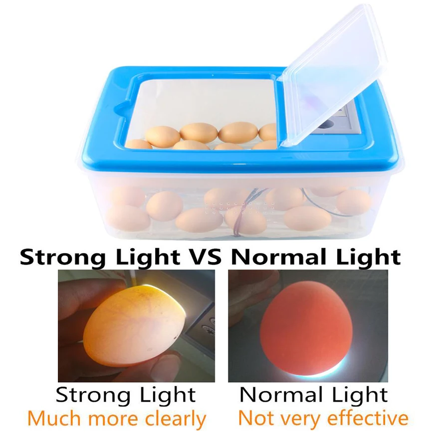 Инкубатор для яиц электронный мини термостат приготовления цыплят уток
