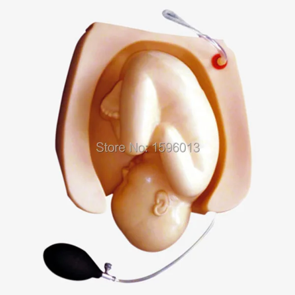 Улучшенный интегрированный имитатор для брюшной пальпации и родов