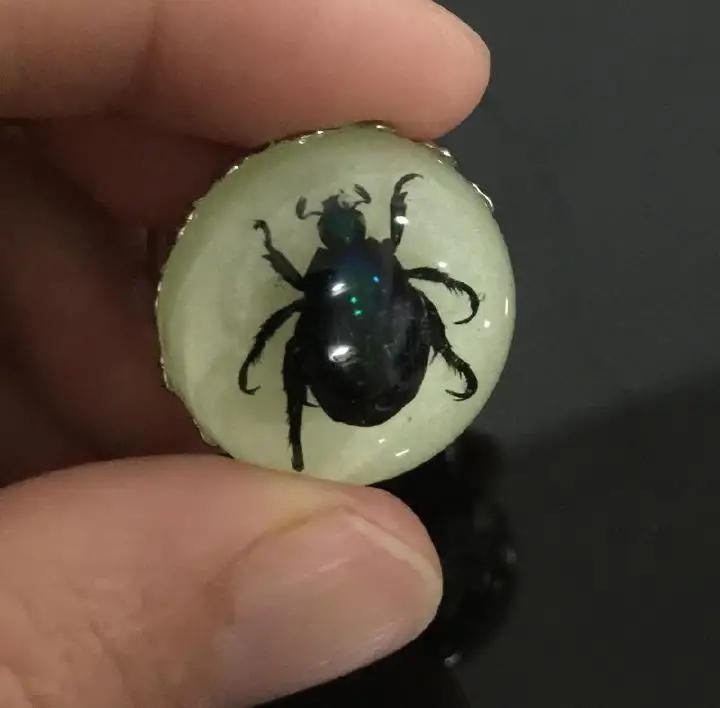 10 шт. 25 мм настоящий Жук Scarab зеленый образец на палец светящееся кольцо декор |