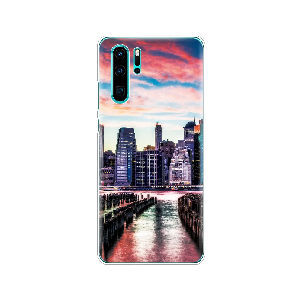 33674 Чехол для huawei P30 Pro Чехол huawei P30Pro чехол Силиконовый ТПУ для телефона чехол-накладка на huawei P30 Pro VOG-L29 ELE-L29 P 30 Lite чехол - Цвет: 33674