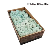 T Light Nilan 500 г натуральный олень мох консервированный сушеный цветок Stamen для Сказочный Сад Гирлянда Свадебная вечеринка Декор 24 цвета на выбор - Цвет: T Light Nilan