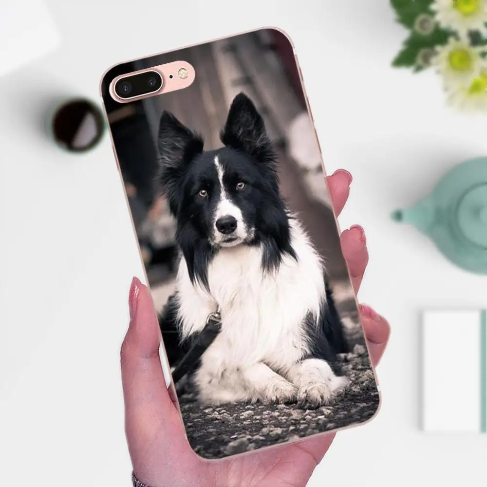 Границы собака колли породы аксессуары для телефона чехол для Huawei P8 P9 P10 P20 P30 Коврики, 7, 8, 9, 10, 20 Lite Plus Pro - Цвет: as picture