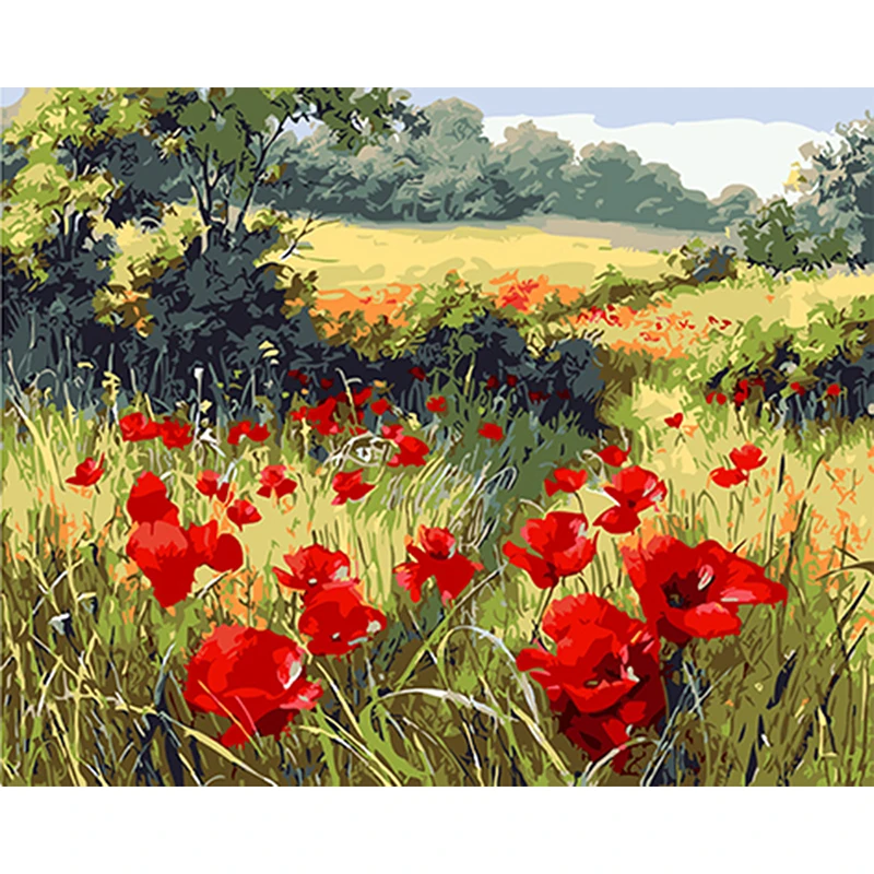 Картина по номерам на холсте красные цветы с рамкой|paint by number|paint numberpoppy picture |