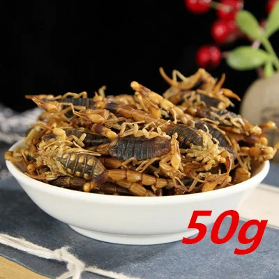 50g Quan Xie травяная медицина сушеный скорпион - Цвет: 50g