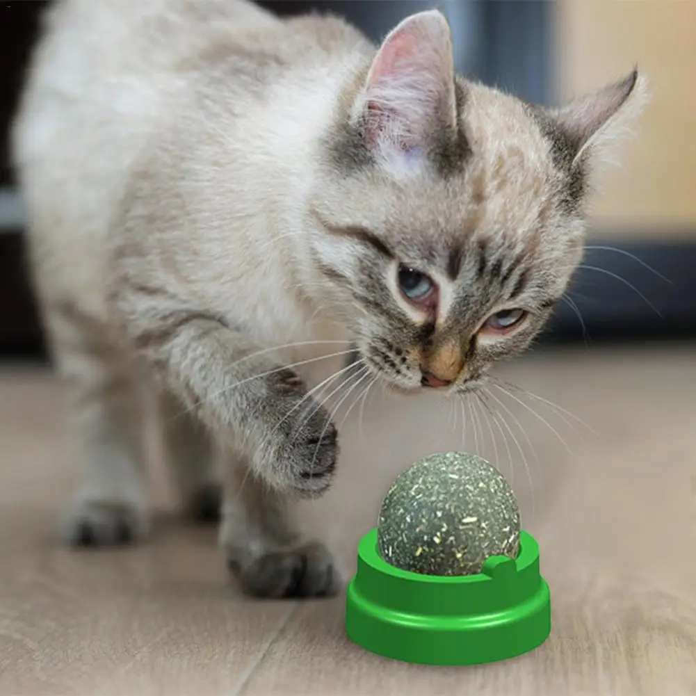 Pet Catnip Toys Ball For Cat Pure Natural Mint Leaf Rotating Puzzle Balls Interactive Training Chew And Lick | Дом и сад