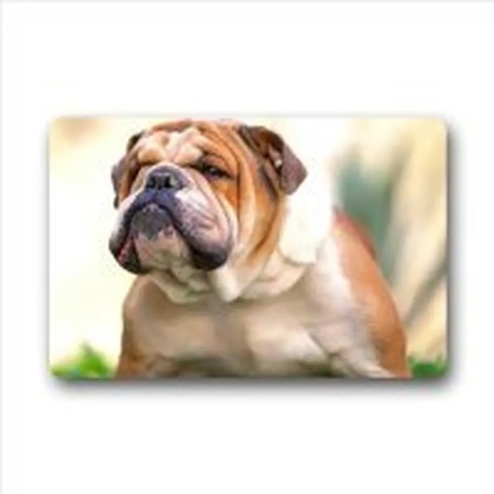 Memory Home симпатичный Английский бульдог полиэфирный волоконный внутренний
