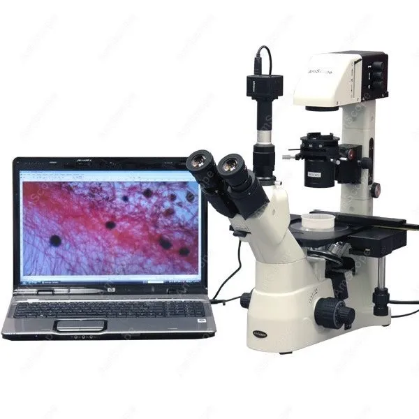 Kohler Infinity Plan перевернутый микроскоп AmScope поставляет 40X 1500X с камерой 8 МП|microscope