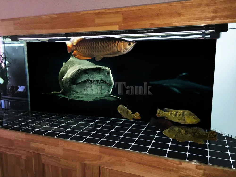 Индивидуальный аквариумный задний плакат с самоклеящейся акулой двухсторонний