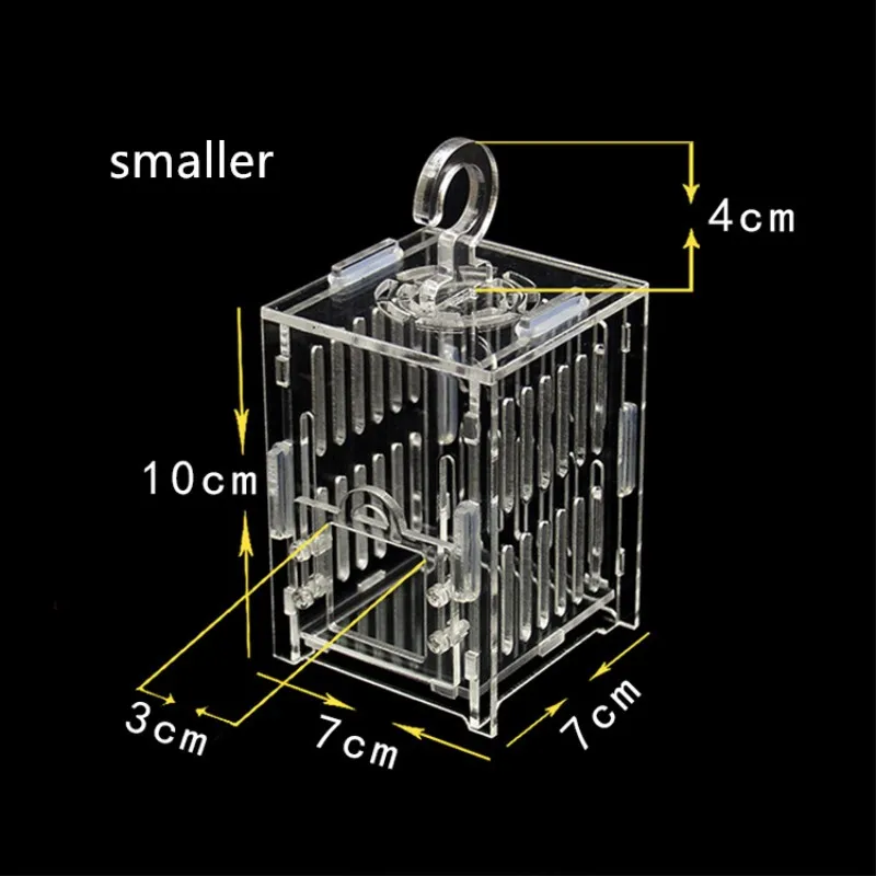 Прозрачная акриловая клетка для тараканов Кузнечика рептилий|Товары насекомых| |