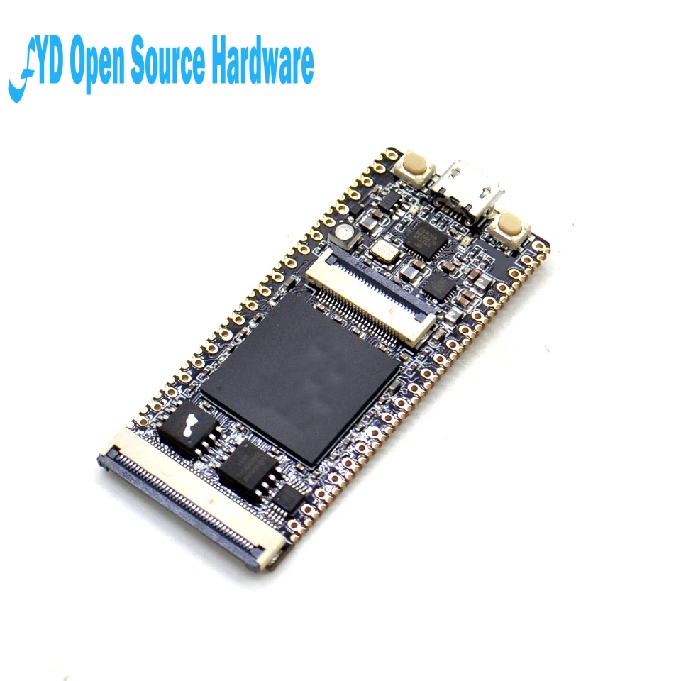 1 шт. 64 Мбит SDRAM RISC V модуль макетной платы Мини ПК + FT2232D JTAG USB RV