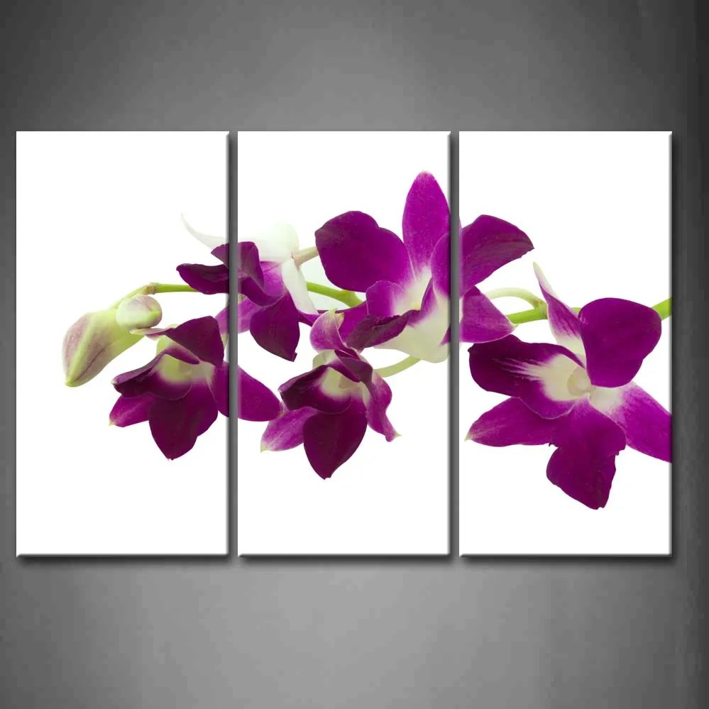 3 Панели без рамки настенные художественные фотографии Орхидея маттиола инкана