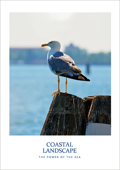 Летние каникулы Санторини Греция скандинавские дорожные холщовые картины