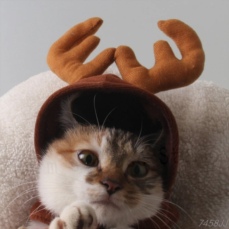 Pet Cat Кепка шляпа для собаки щенка Тедди котенка Рождественский олень рога костюм