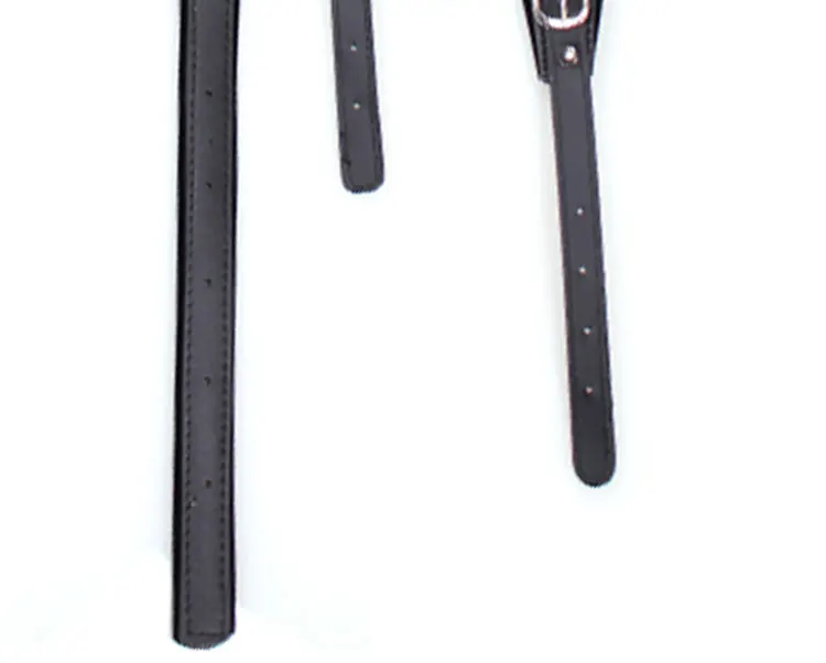 Новинка 120 beth/96 красный кожаный басовый аккордеон ремни подходит для попугая/Золотой Кубок/парк