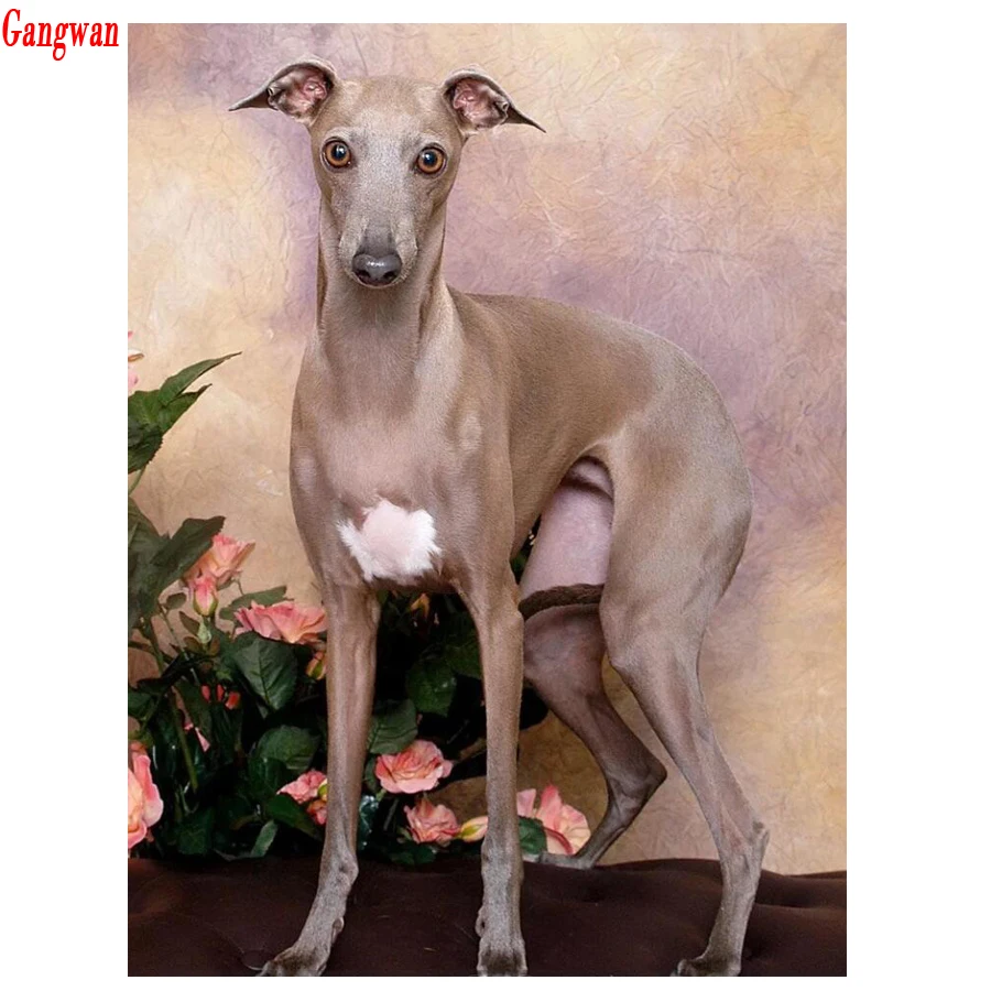 

Dog picture Diamond Painting Cross Stitch Handicraft Diamond Embroidery Whippet,5D DIY Diamond Mosaic,puppy pet,decoration Gift