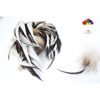 100pcs 100 natural premium pheasant feather 5 10cm2 4inch white black tail beautiful for diy carnival costume mask headdress