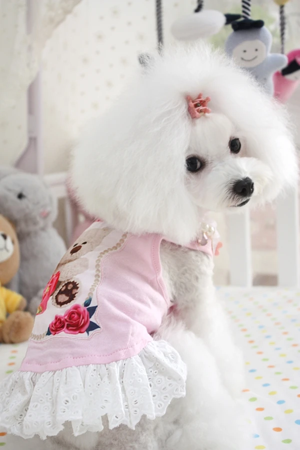 Бесплатная доставка 100% хлопок Teddy Bear без рукавов собака огненного цвета детское