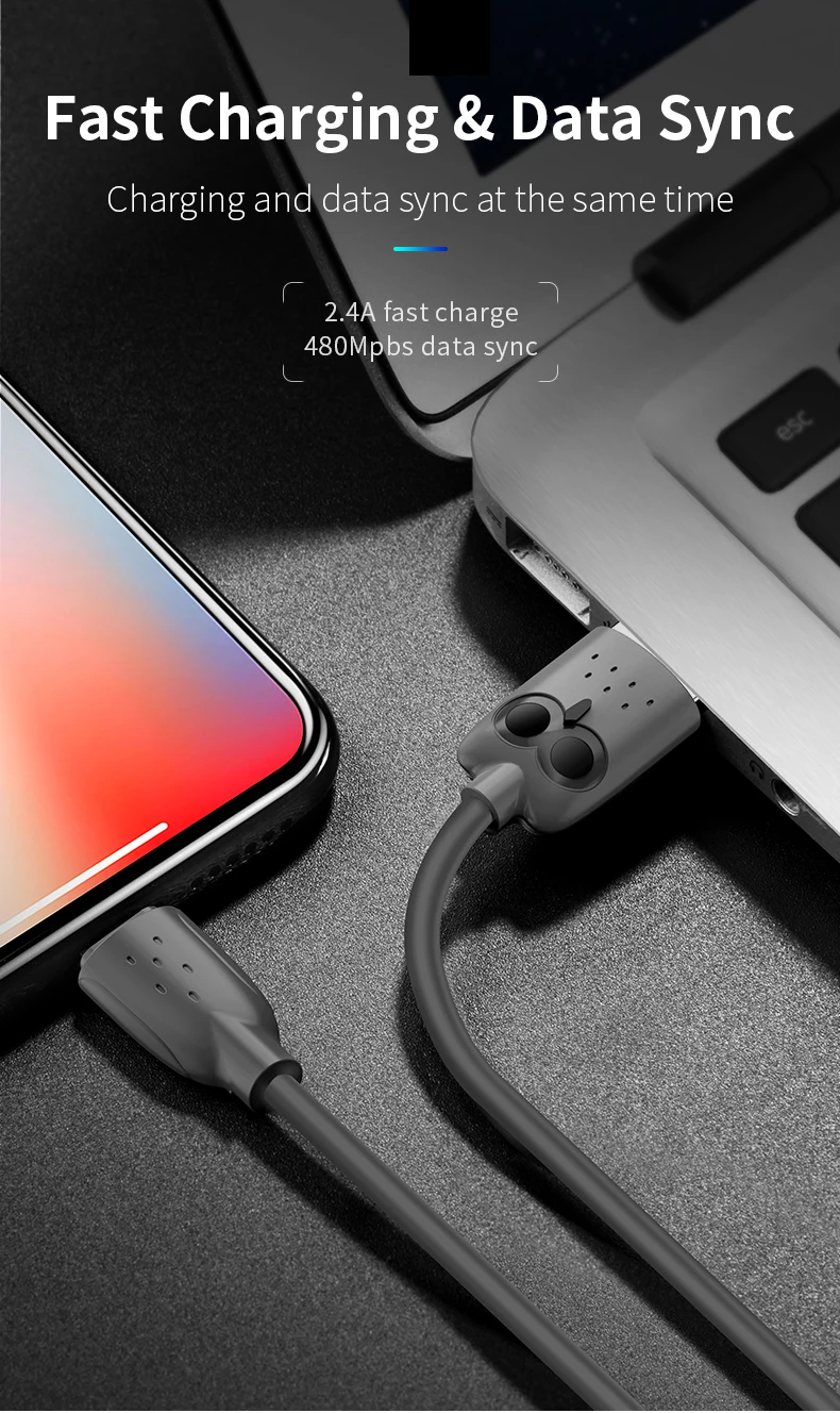 HOCO USB кабель для iPhone, зарядный кабель, двойное USB зарядное устройство для iPhone 5S 6 7 8 XS XR 2.4A зарядное устройство