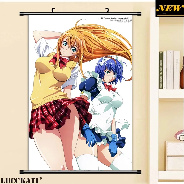 40X60 см Ikkitousen battale Vixens Shiozaki Yuji серия квитанция мультфильм аниме Настенная картина прокрутки холст живопись плакат