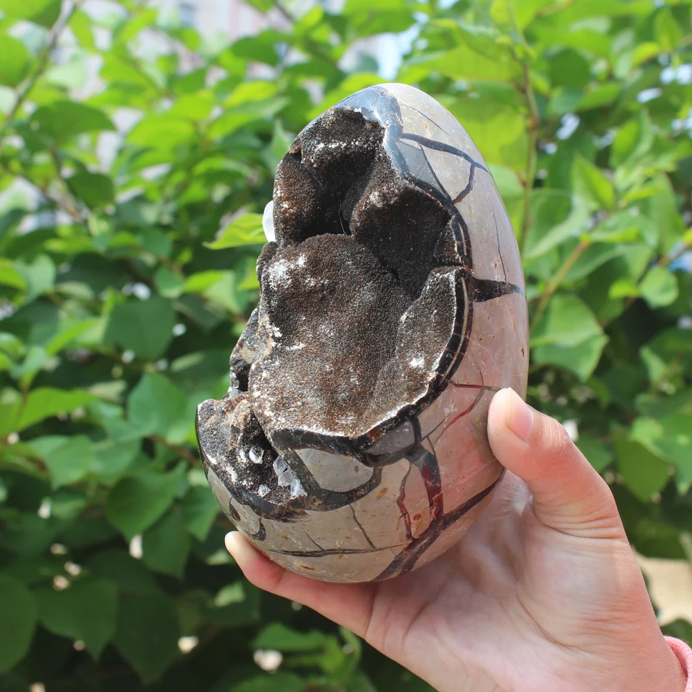 1510g Natural curvature of the furnishing articles Turtle grain stone egg Ball Septarian nodule Fossil Crystal Healing quartz | Дом и сад