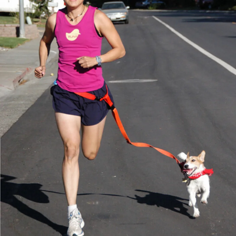 Hands Free Walking Running Pets Puppy Gog Leashes Red Purple Yellow Green Pink Dog Lead Harness collars | Дом и сад