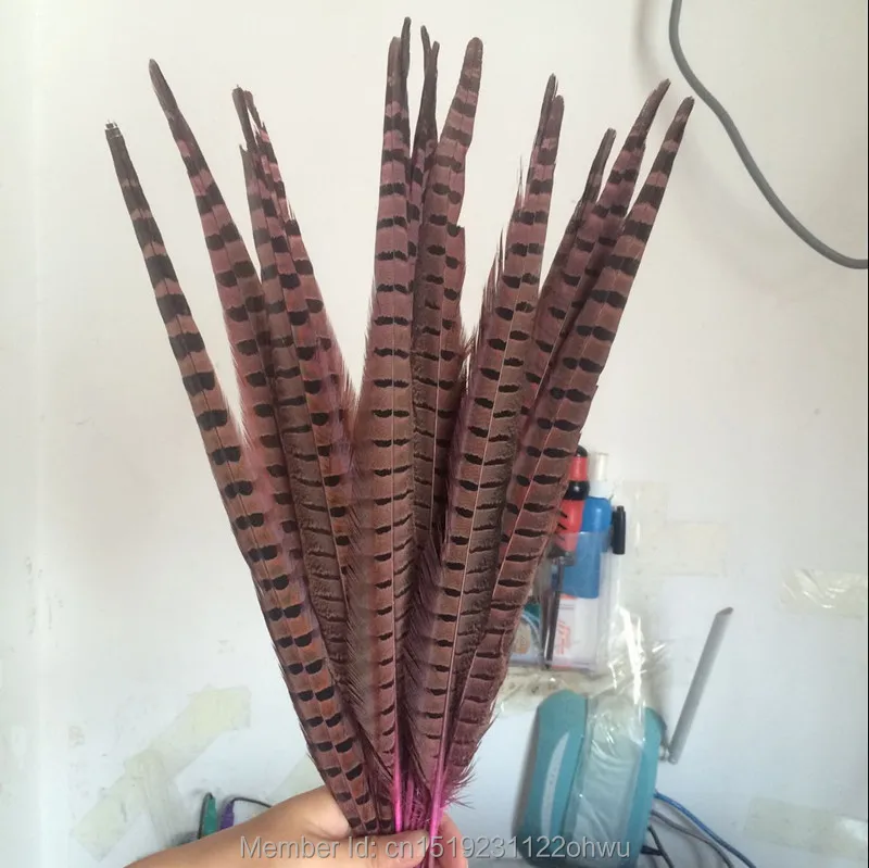 

Wholesale 200 pcs beautiful Pink Pheasant Feather 16-18 inches 40-45 cm free shipping