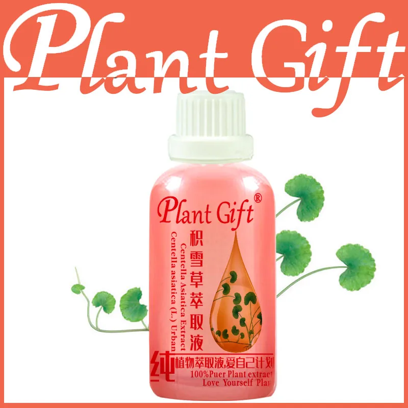 

100ML 100% Plant material extracts Centella asiatica extract repair skin care acne anti-inflammatory gotu kola