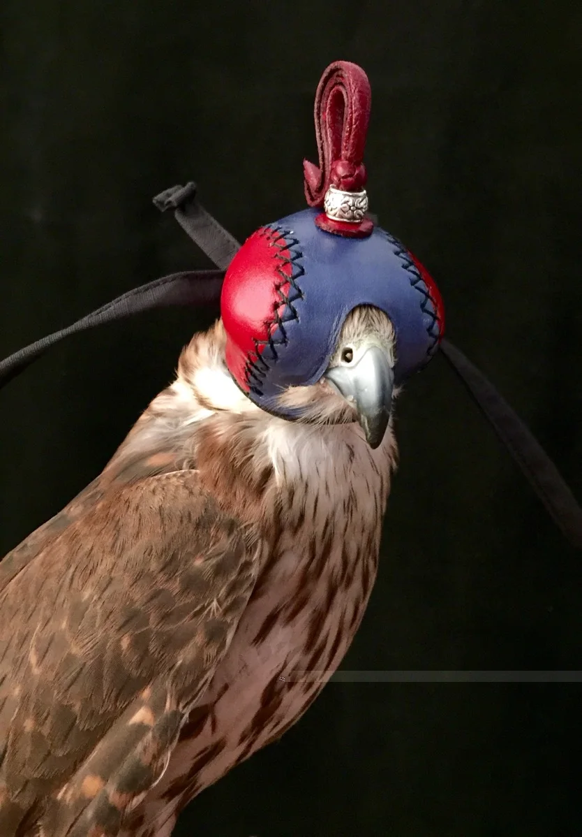 Falconry Eagle кричащий капюшон Сокол шляпа маска для глаз шлем голландская педаль