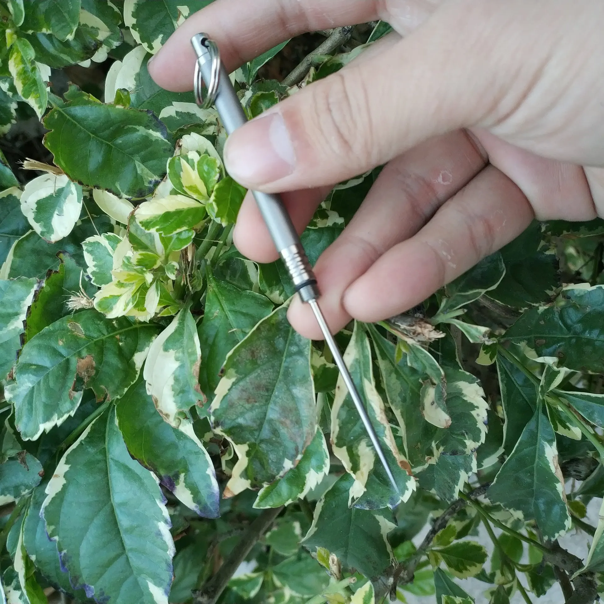 3 В. Титановый сплав роторная док-зубочистка и водонепроницаемый держатель