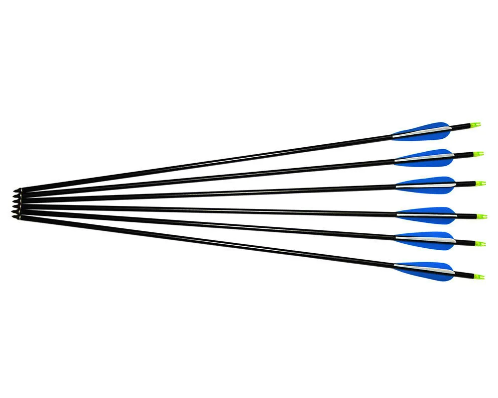 Шт. 6 шт. алюминий стрелы из сплава специально разработан для международного